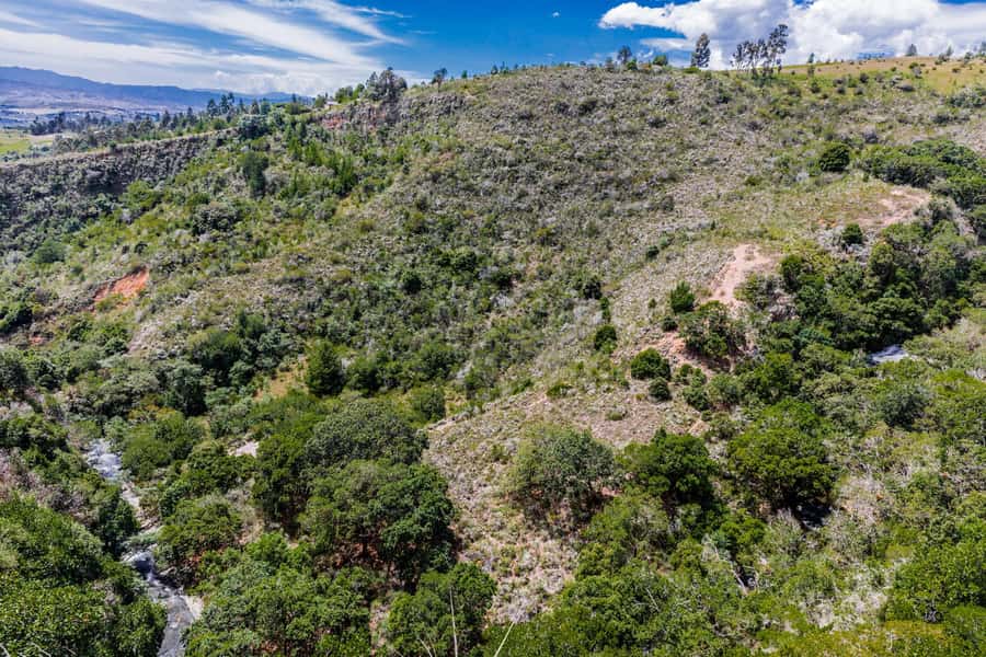 From Villa de Leyva: La Periquera Hiking Tour - The first part of the trail: endemic plants and a real guide moment