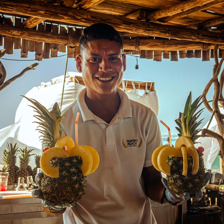 Full day at Isla baru playa blanca in Mambo Beach club - Optional plankton experience: the add-on you can consider