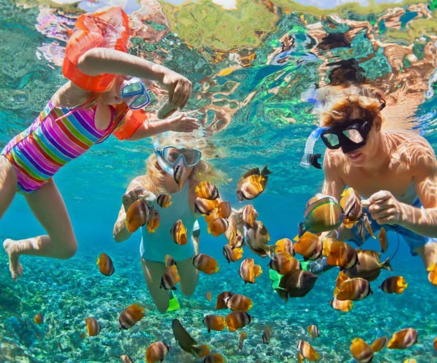 Full Day Barú island: Mangrove +Snorkel + Sunset + Plankton - Freedom Beach Club time: the beach breaks are part of the value