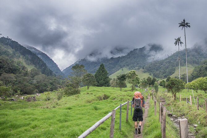 Full Day Climbing The Cocora Valley with Lunch - Cocora Valley: why those wax palms make this hike worth it