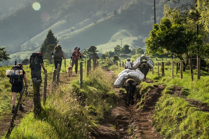 Full Day Climbing The Cocora Valley with Lunch - What to wear and how to set yourself up for a smoother day