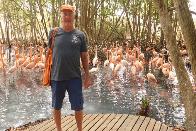 Full Day for Bird Watching with Visit to Isla Baru - Transport, timing, and your best strategy for a smooth day