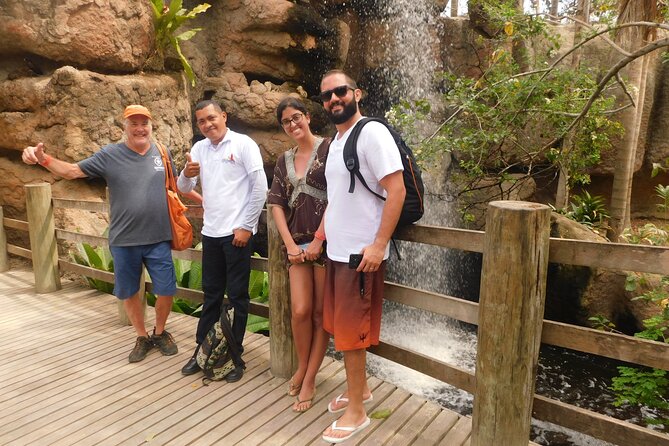 Full Day for Bird Watching with Visit to Isla Baru - Aviario Nacional de Colombia: 200+ species in a structured bird-viewing day