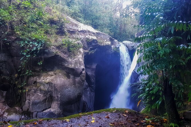Full-Day Hiking Tour in Minca with coffee & Cocoa Workshop - From Santa Marta to Minca: How the day starts smoothly