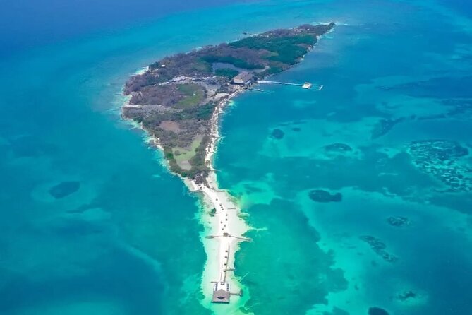 Full Day Private Beach Club Palma Island and Full Food - Welcome cocktail, gourmet lunch, and the timing you should plan around