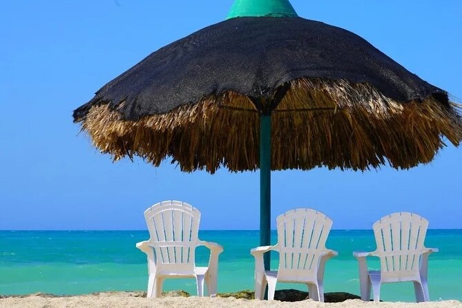 Full Day Private Beach Club Palma Island and Full Food - Palma Island beach club time, clean sand, calm water, and what to bring
