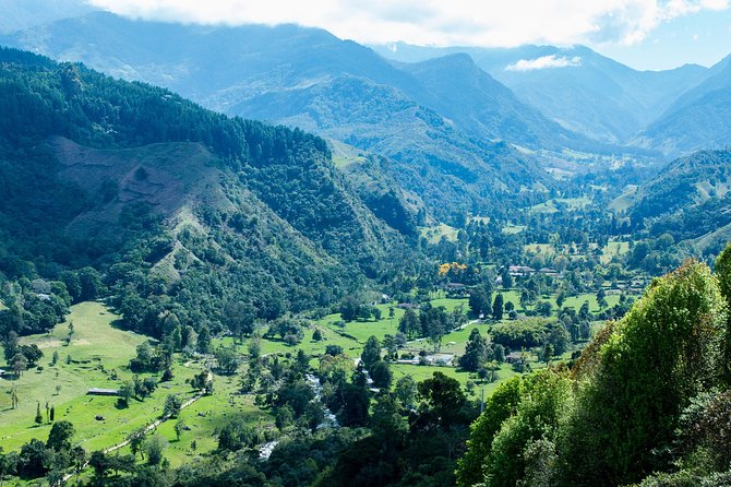 Full-Day Private Coffee Tour in Cocora Valley and Salento - Cocora and Salento in one private day, and why it works