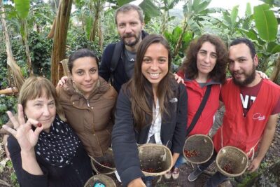 Full-Day Private Coffee Tour in Cocora Valley and Salento
