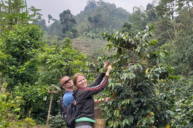 Full-Day Private Guatape Coffee Villa Tour from Medellin - Lunch in Guatapé: paisa favorites by the lake (your cost)
