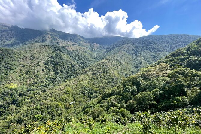 Full Day Private Sierra Nevada Tour with Transport - Why This Sierra Nevada Day Trip Works So Well