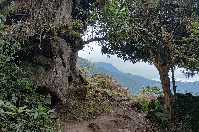 Full-Day Private Tour to La Chorrera Waterfall and El Chiflón - A waterfall day that starts near Bogotá