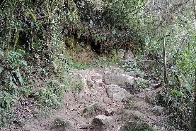 Full-Day Private Tour to La Chorrera Waterfall and El Chiflón - El Chiflón: the 59-meter falls, the photo walk, and lunch