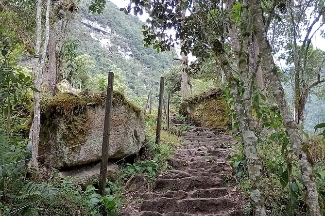Full-Day Private Tour to La Chorrera Waterfall and El Chiflón - Your guide can make or break the day