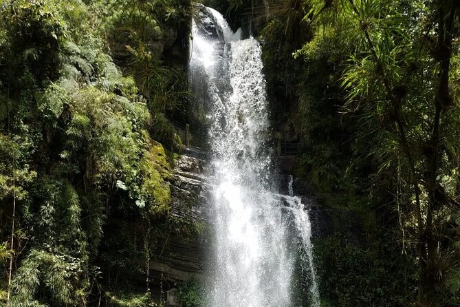 Full-Day Private Tour to La Chorrera Waterfall and El Chiflón - What to pack so the hike feels easy