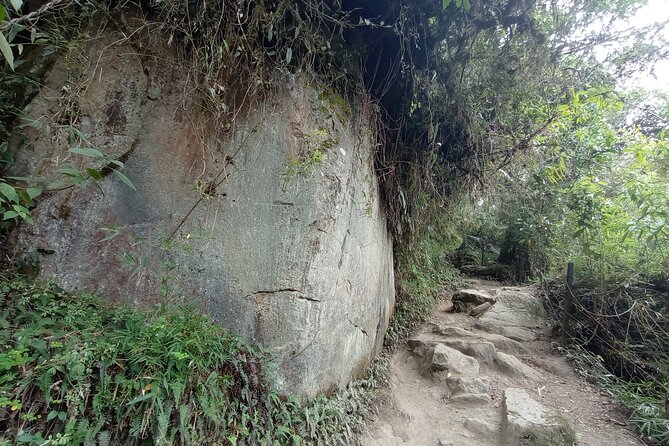 Full-Day Private Tour to La Chorrera Waterfall and El Chiflón - How the drive and timing shape your experience