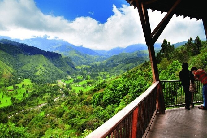 Full Day Private Tour to Valle del Cócora and Salento - Who This Tour Works Best For (And Who Might Need Another Plan)