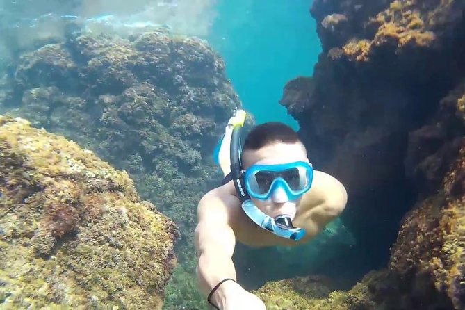 Full day rosario island, cholon, agua azul, baru and free snorkell - Key Things I’d Lock In Before You Go