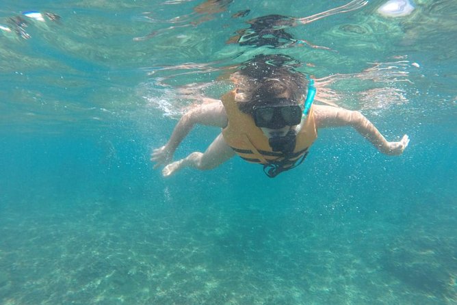 Full Day Rosario Islands Playa Agua Azul Cholon Playa Blanca - A full-day Rosario island itinerary that actually moves