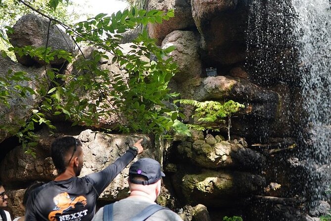 Full-Day Tour Baru - National Aviary and Playa Blanca + Bioluminescent Plankton - Aviario Nacional de Colombia: bird biology with an 11:30 presentation
