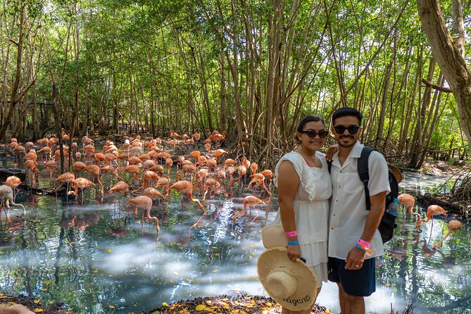 Full-Day Tour Isla Baru - National Aviary of Colombia and Playa Blanca - Price and value: what $70 buys you (and what it doesn’t)