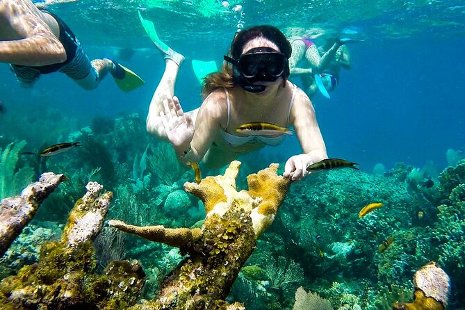 Full Day Tour of 5 Must-See Places in the Rosario Islands - Encantada Beach Club snorkel time on Isla Grande (about 30 minutes)