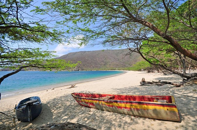 Full Day Tour to Bahia Concha Beach in Tayrona Park - Price and Value: Is $29 a Smart Deal for Tayrona?