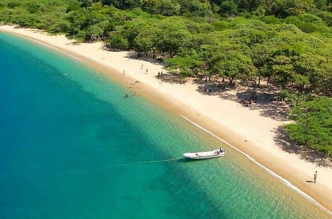 Full Day Tour to Bahia Concha Beach in Tayrona Park - Who Should Book This Tour, and Who Should Skip It