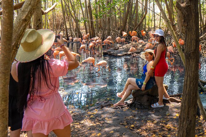 Full Day Tour to the Playa Blanca National Aviary and Plankton - Mambo Beach club time at Playa Blanca: great water, plus some real-world tradeoffs