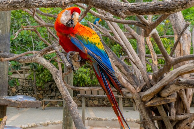 Full Day Tour to the Playa Blanca National Aviary and Plankton - The plankton at night: a short activity with a long lead-up