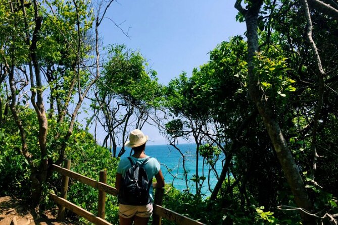 Full Tour of Tayrona Park with Swimming in Cabo San Juan - La Piscina: calm water, snorkeling time, and the sunscreen math