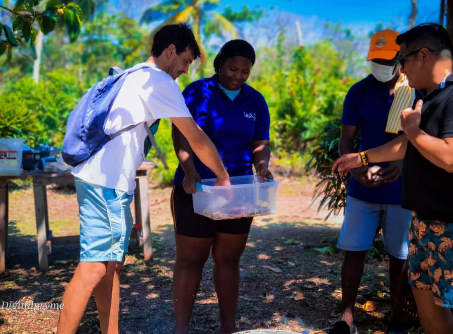 Gastronomic and musical experiences in San Andres Rondontour - What This San Andrés Rondón and Music Experience Feels Like
