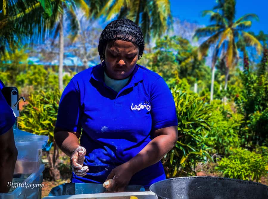Gastronomic and musical experiences in San Andres Rondontour - The live Caribbean music segment, plus the horse jaw experience
