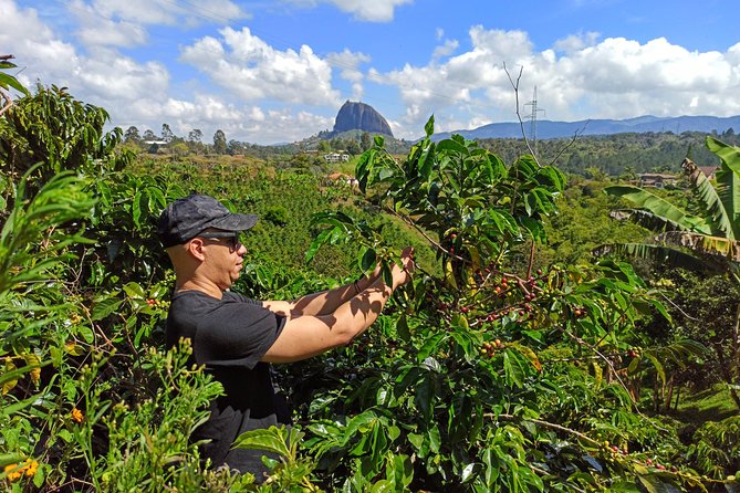 Guatapé & Coffee farm, all in one day - Door-to-door Medellín pickup, built for a full day