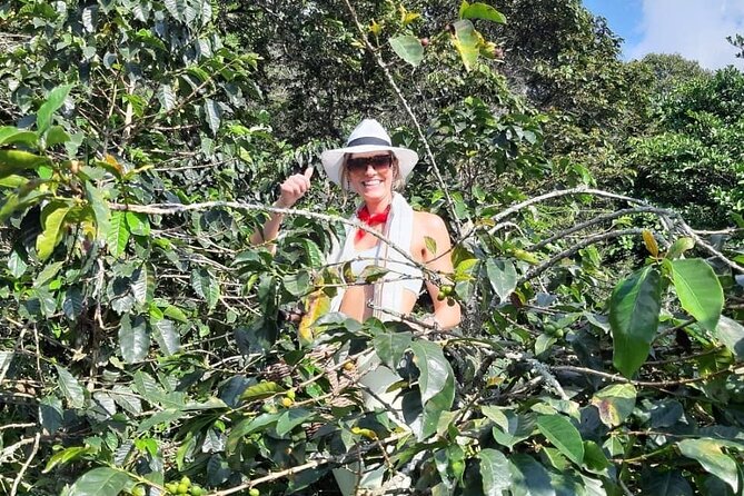 Guatape With Coffe Tours - Lunch plus Zócalos and Malecón: finishing with town charm