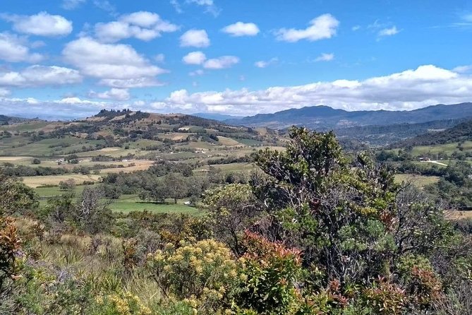 Guatavita Lake & Salt Cathedral Tour. - Salt Cathedral Catedral de Sal: The Audio Guide Makes a Difference