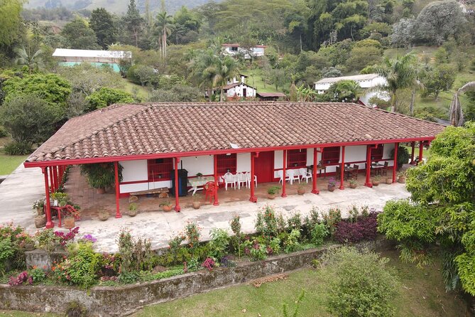 Half-day coffee tour at a coffee farm in Medellin. - Key points worth knowing
