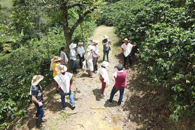 Half-day coffee tour at a coffee farm in Medellin. - English offered, private group, and group discounts
