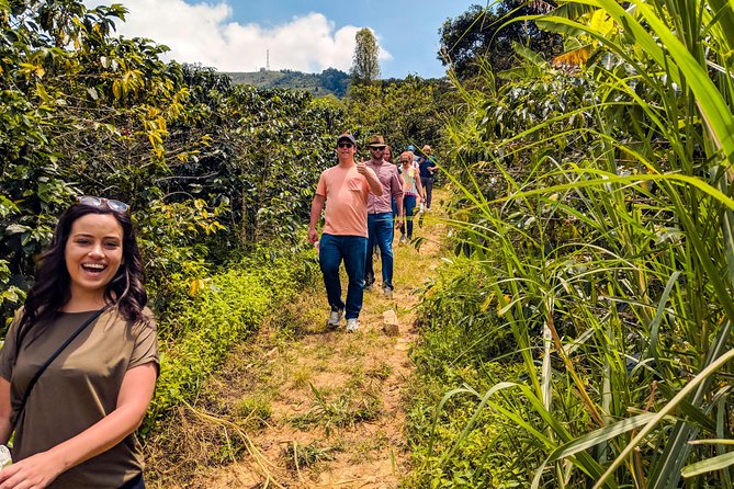 Half-Day Coffee Tour: From the Seed to the Cup, Farm & roastery - Private Pickup, Small Group Size, and Why Timing Matters