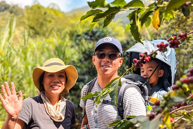Half-Day Coffee Tour: From the Seed to the Cup, Farm & roastery - Snacks, Food Timing, and What You Should Do Before You Go