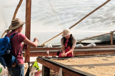Half-Day Coffee Tour: From the Seed to the Cup, Farm & roastery