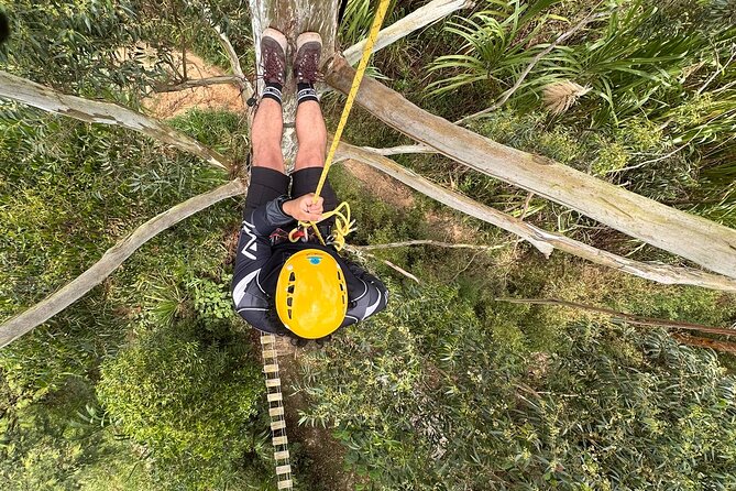 Half-Day Tour with Wonderful Waterfalls in Medellin - La Reservita Orientation: Gear, Rules, and Nature Care