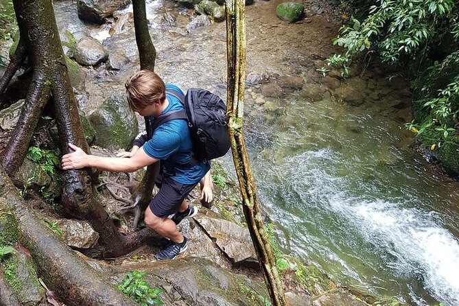 Half Day Waterfall Tour from Medellin - A Half-Day Waterfall That Actually Feels Like Getting Out
