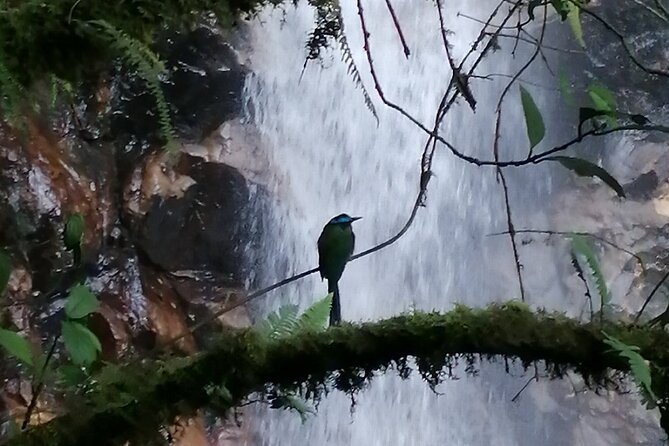 Half Day Waterfall Tour from Medellin - The Group Size, Guides, and Safety on Slippery Ground