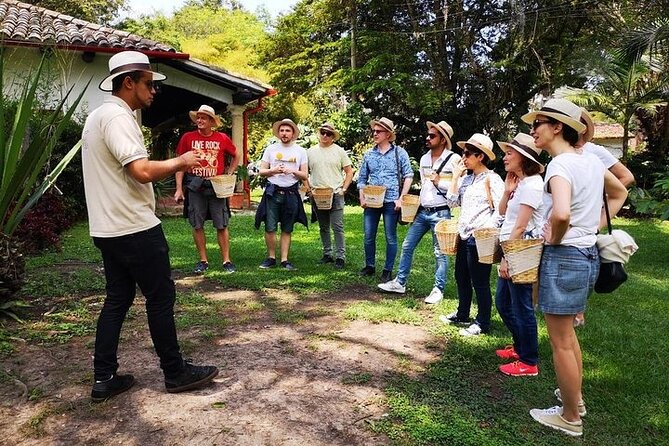 Hands-On Tour to Coffee Plantation from Bogota Option basic - Key highlights before you go