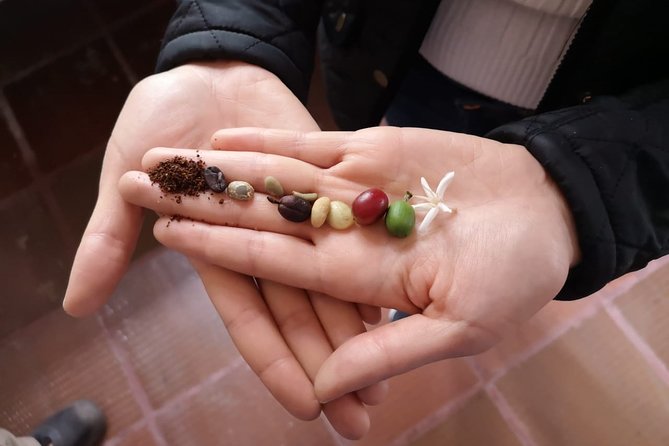Hands-On Tour to Coffee Plantation from Bogota Option basic - Coffee tastings and the surprise of coffee liqueur