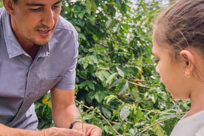 Height Coffee Tour - Key Highlights You Should Know Before You Go