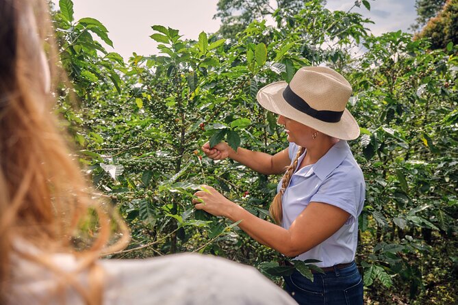 Height Coffee Tour - Price and value for $25: what you get, and how to judge the deal