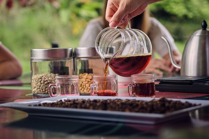 Height Coffee Tour - Getting there: meeting point and timing that matter