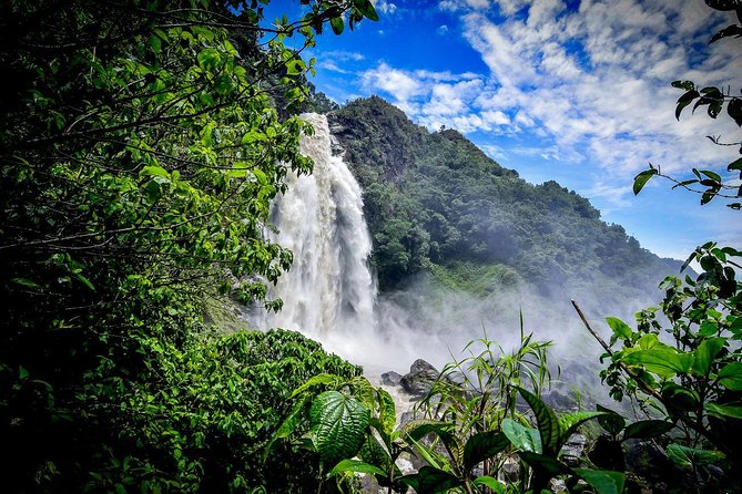 Highest Zipline of Colombia Over Mountains, Jungles & Waterfalls - Key things I think you’ll notice right away