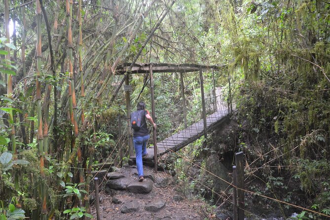 Hike to Colombia's Tallest Waterfall: La Chorrera & El Chiflón - Weather and Water Flow: Why Fog Can Make or Break the View